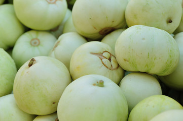 Honeydew Melon selling at agriculture fair