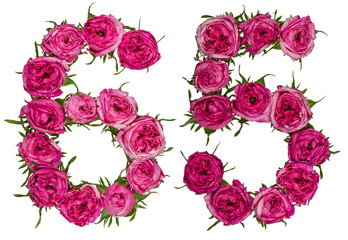 Arabic numeral 65, sixty five, from red flowers of rose, isolated on white background