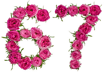 Arabic numeral 67, sixty seven, from red flowers of rose, isolated on white background