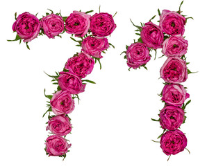 Arabic numeral 71, seventy one, from red flowers of rose, isolated on white background