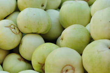 Honeydew Melon selling at agriculture fair