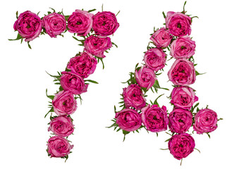 Arabic numeral 74, seventy four, from red flowers of rose, isolated on white background
