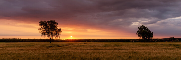 Fototapeta na wymiar Sonnenaufgang über dem Getreidefeld