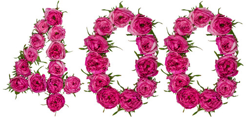 Arabic numeral 400, four hundred, from red flowers of rose, isolated on white background