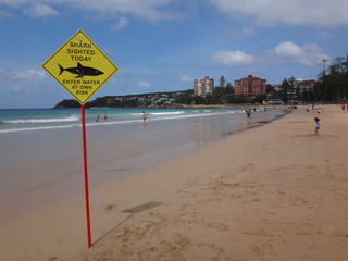 Danger in Australia