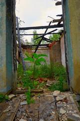 wrecked room in an old abandoned house