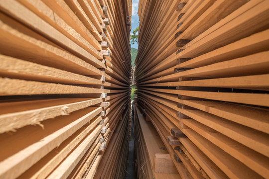 Wooden Boards In A Sawmill