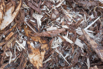 Wood bark in a sawmill