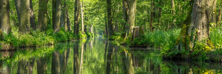 Fototapete Natur Wunderschöne Flusslandschaft