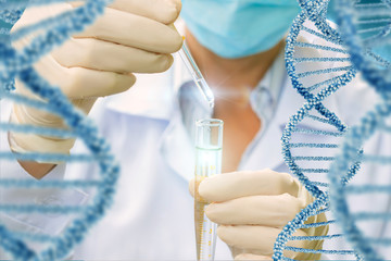 Testing of DNA molecules .