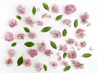 Floral pattern of lilac flowers and leaves on white. Flat lay, top view.