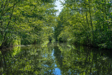 Beautiful river landscape of the Spreewald in Germany