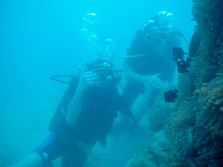Women scuba divers exploring underwater life in the deep blue ocean