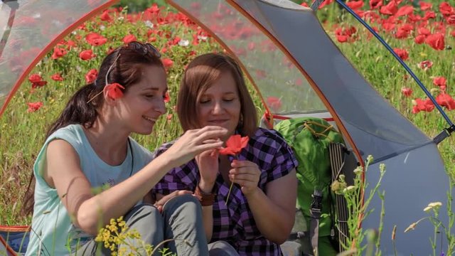 Two young cheerful beautiful women sit in semitransparent travel tent in blooming summer field with flowers and grass swaying in wind, sniff red poppy flower and laugh.