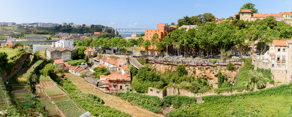 Obraz premium Gärten in Porto und Ponte da Arrabida