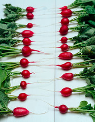 Row of  fresh organic red radishes with tops on white wooden background, selective focus. Vegetable background
