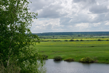 Fototapeta premium Green field on the river bank