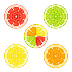 Various citrus fruits in a section on a white background