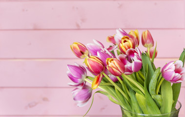 bouquet of pink tulips on a  pastel pink wooden background 