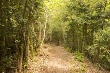 Hiking in torla ordesa, pyrenees of huesca