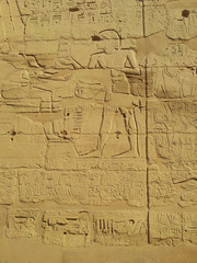 Fototapeta na wymiar luxor temple, egypt