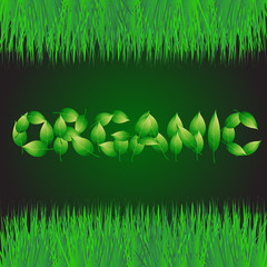 Green background with text made from leaves organic. Illustration with vegetative grasses border.