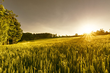 Vogtländische Landschaften