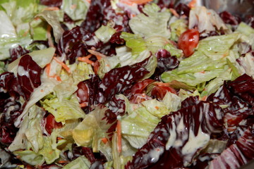 Grüner Salat mit Tomaten an französischem Dressing Nahaufnahme