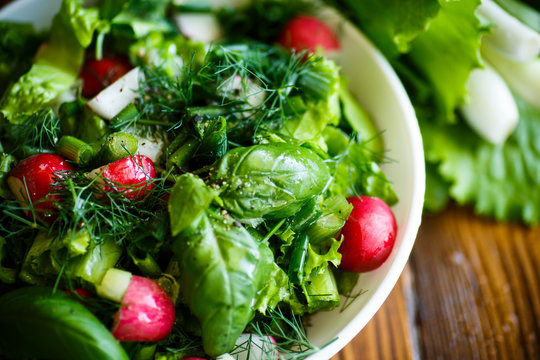 Spring Salad From Early Vegetables, Lettuce Leaves, Radishes And Herbs