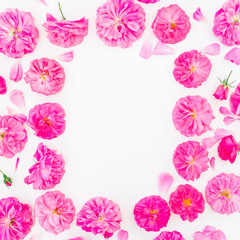 Frame made of purple roses and petals on white background. Flat lay, top view. Floral pattern of pink flowers