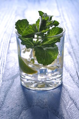 Mojito cocktail with lime and mint
