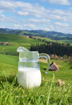 Milk and cows. Emmental region, Switzerland