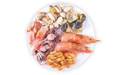 Seafood on a white background