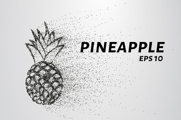 Pineapple of particles. Pineapple consists of small circles and dots. Vector illustration