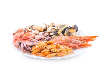 Seafood on a white background