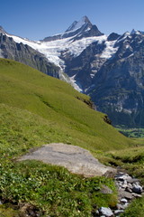 Scenic landscape of the Bernese Alps with the Schwarzhorn mountain - view from the summit First, Switzerland