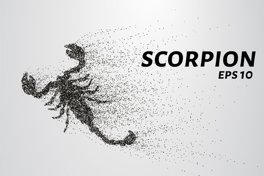 Scorpio of the particles. Scorpio consists of circles and points. Vector illustration.