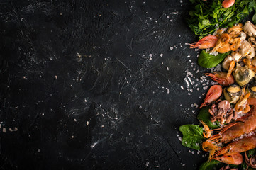 Seafood on a dark background
