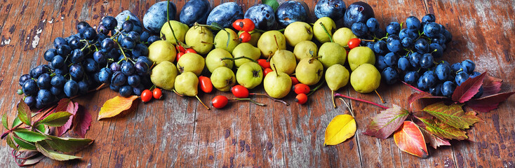 Naklejka na ściany i meble Autumn harvest of fruit