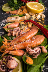 Seafood on a dark background