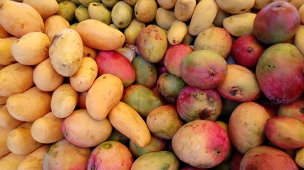 Ruiquísima Variedad de Mangos Manila y Petacón
