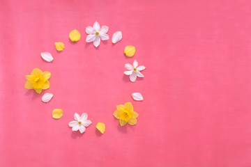 spring flowers on a pink background