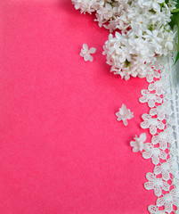 white lilac and lace on the red background paper