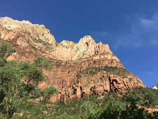Fototapeta premium Zion National Park Vista