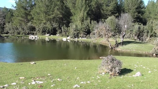Sacred lake in deep forest, panning to right