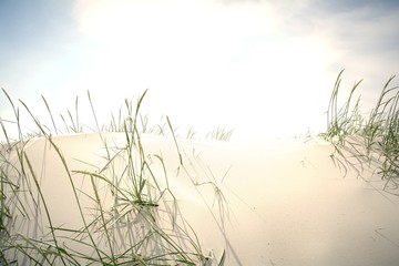 D&uuml;ne im Sonnenlicht 