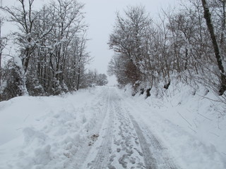 road in winter