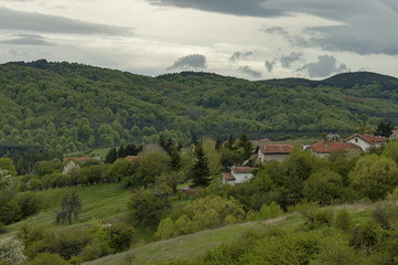 Fototapeta na wymiar Residential district of bulgarian village Plana in forest and various trees with new leaf and blossom at springtime, Plana mountain, Bulgaria 