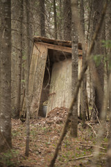 Old abandoned wooden outhouse in the woods.