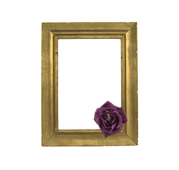 dried purple rose in a golden frame